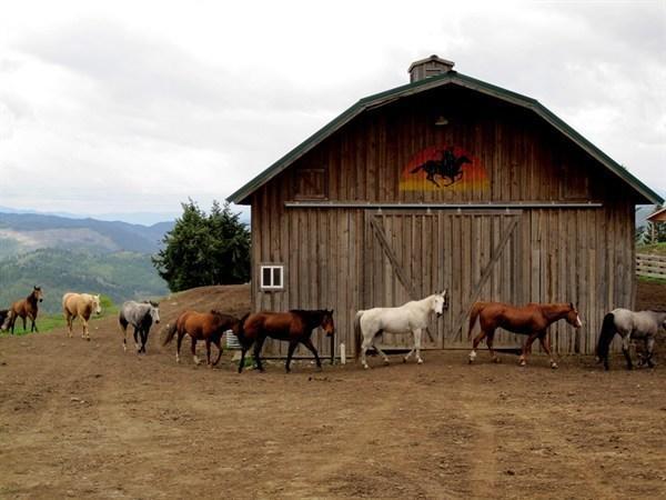 Отель Bull Hill Guest Ranch Marble Экстерьер фото